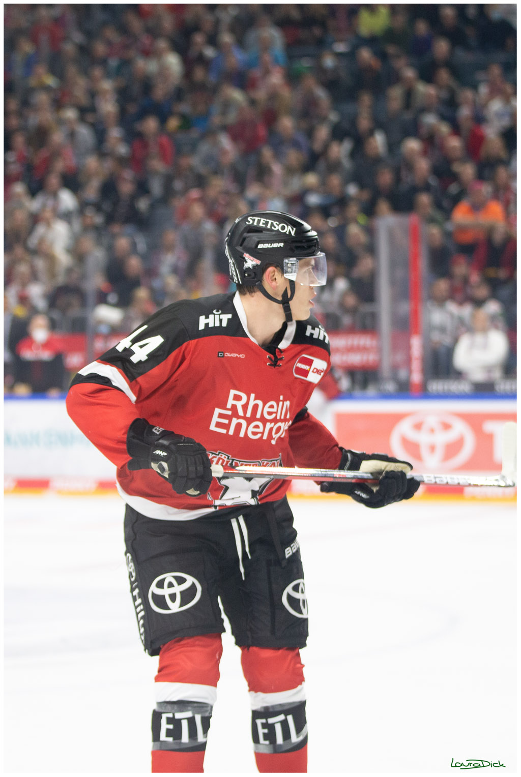 PENNY DEL;  Koelner Haie - Krefeld Pinguins; Koeln, 31.10.2021